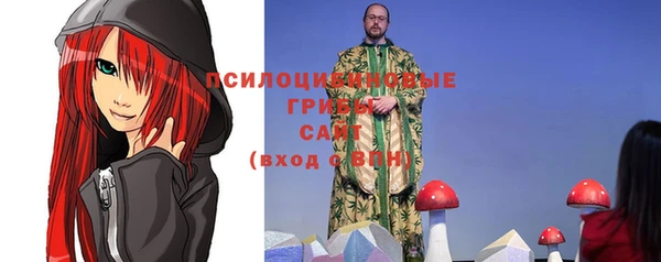 ешки Аркадак