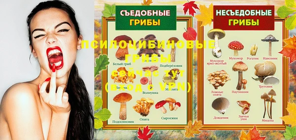 ешки Аркадак